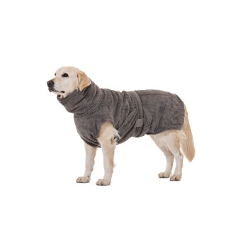 Ein Golden Retriever trägt einen weichen, grauen, saugfähigen Hundebademantel mit Gürtel und steht vor einem weißen Hintergrund.