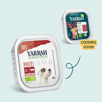 Zwei Yarrah Tierfutterbehälter: links mit Rindfleischpastete für Hunde; rechts ein grünes "Coming Soon" Design.
