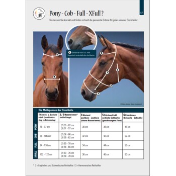 Bild von zwei Pferdeköpfen mit Maßlinien und einer Größentabelle für Pony, Cob, Full und XFull-Ausrüstung.