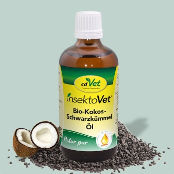 Bio Kokos Schwarzkümmel Öl
