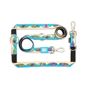 Buntes Hundeleinen- und Halsband-Set mit Surfbrett-Mustern und Metallverschlüssen, beschriftet mit "Max & Molly" und "Urban Pets."