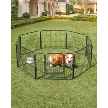 Ein glücklicher Corgi in einem schwarzen Metall-Hundespielzaun auf grünem Gras, mit einer Wasserschüssel in der Nähe und einer sonnigen Außenumgebung.