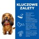 Puszysty pies z czerwoną obrożą stoi obok niebieskiego panelu podkreślającego korzyści dla zdrowia jamy ustnej i błyszczącej sierści.