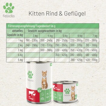 Fellicita Rind & Geflügel für Kitten 6x 200g