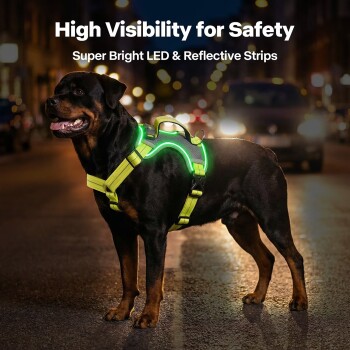 Schwarzer Hund trägt ein neonfarbenes LED-reflektierendes Geschirr auf einer nächtlichen Straße; Text: 'High Visibility for Safety' und 'Super Bright LED'
