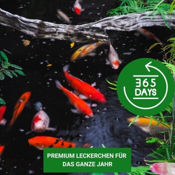 Bunte Koi-Fische schwimmen in einem Teich, mit einem grünen runden Abzeichen, das '365 TAGE' besagt, und einem Text darunter, der 'PREMIUM LECKERCHEN FÜR DAS GANZE JAHR' liest.