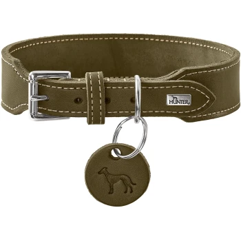 Olivgrünes Leder-Hundehalsband mit silberner Schnalle, rundem geprägtem Hundemarkenanhänger und Metalletikett 'HUNTER'.
