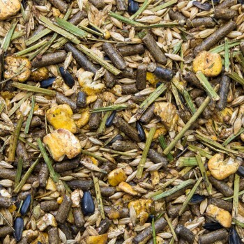 Nahaufnahme einer Mischung aus Haustierfutter mit kleinen Pellets, Körnern und getrocknetem Gemüse, mit einer Vielzahl von Texturen und Farben.