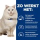 Eine flauschige weiße Katze mit blauen Augen sitzt vor einem blauen Hintergrund. Der Text hebt Vorteile hervor: L-Tryptophan, pH 6.2-6.4 und ausgewogenes Calcium.