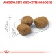 Drei Stücke Haustierfutterkibble werden auf einem skizzierten Maßleitfaden angezeigt, mit dem Text "ANGEPASSTE KROKETTENGRÖSSE" darüber.