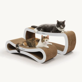 Zwei Katzen, eine graue und eine dreifarbige, die auf einem modernen, geschwungenen Kratzbaum mit brauner Oberfläche und weißen Kanten entspannen.