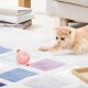 Eine verspielte hellorange Katze, die nach einem rosa interaktiven Spielzeugball auf einem bunten Teppich in einem gemütlichen Wohnzimmer greift.
