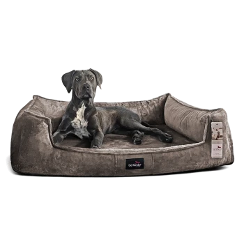 Schwarzer Hund liegt auf braunem, veloursartigem Bolster-Haustierbett mit vorderem „tierlando“-Label und hängendem Produktanhänger.