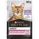 Purina Pro Plan Katzenfutterbeutel mit einer Bengal-Katze, gekennzeichnet mit 'Erwachsene zarte Verdauung' und dem Text 'Mit Truthahn in Sauce'.