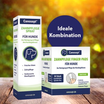 Canosept Zahnpflegeprodukte für Hunde, mit einem Spray für frischen Atem und Fingerpads für die Zahnhygiene, mit dem Text "Ideale Kombination."