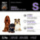 Hundefutteretikett mit drei kleinen Hunden; Text: SMALL BREEDS 5–15 kg, ADULT, 2,5 kg, 33% Rind, 26% Protein, 11% Fett.