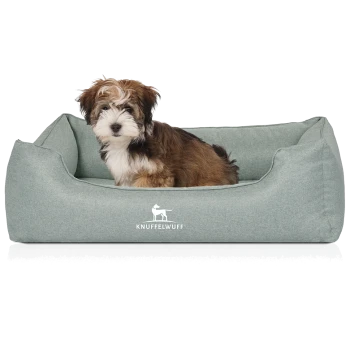 Flauschiger braun-weißer Welpe sitzt in salbeigrünem Hundebett mit 'KNUFFELWUFF'-Logo.
