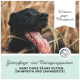 Hund mit offenem Mund auf einem hellblauen Hintergrund, mit Text: "ORAL Vital NATÜRLICHE BEHANDLUNG von Zahnstein und Belag" und "FÜR HUNDE".