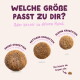 Drei Krokettengrößen mit deutscher Überschrift 'WELCHE GRÖßE PASST ZU DIR?' und Größenangaben 18 mm, 14 mm, 10 mm.