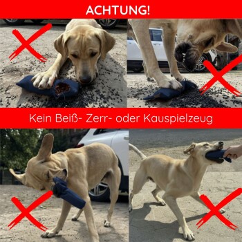 Vierteiliges Bild eines hellbraunen Hundes, der an einem Spielzeug kaut, mit roten X; rote Banner: 'ACHTUNG!' und 'Kein Beiß-, Zerr- oder Kauspielzeug'