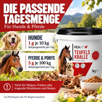 Ein verspieltes kastanienbraunes Pferd, das auf einem grasbewachsenen Feld aufrecht steht, mit einem üppig grünen Hintergrund und einem weißen Logo in der unteren rechten Ecke.