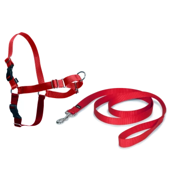 Rotes Haustiergeschirr und Leinen-Set auf einem weißen Hintergrund, mit verstellbaren Riemen und einem Metallclip für eine sichere Befestigung.