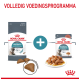 Royal Canin Hairball Care verpakking met droge brokjes en natvoer, gelabeld 'Volledig Voedingsprogramma' en 'Proven Results in 14 Days.'