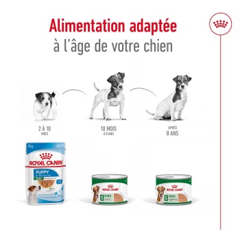 Image de nourriture pour chiens Royal Canin pour trois étapes de vie : chiot (2-10 mois), adulte (10 mois-8 ans) et senior (8+ ans).