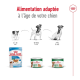 Image de nourriture pour chiens Royal Canin pour trois étapes de vie : chiot (2-10 mois), adulte (10 mois-8 ans) et senior (8+ ans).
