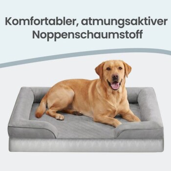 Brauner Hund liegt auf grauem Bett mit Rand; Text oben: „Komfortabler, atmungsaktiver Noppenschaumstoff“