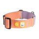 Ein farbenfrohes Hundehalsband mit einem orange-lavendelfarbenen Design, mit schwarzen Schnallen und einem "Woolly Wolf"-Logo-Patch.