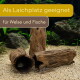 Treibholz-Höhlen im Aquarium mit Welsen und kleinen Tetras auf Sand; Text: 'Als Laichplatz geeignet und für Welse und Fische'