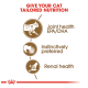 Infographic promoting tailored nutrition for cats, highlighting joint health (EPA/DHA), instinctive preference, and renal health.