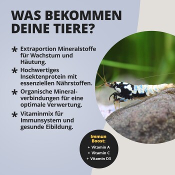 Schwarz-weiße Aquariengarnele neben deutscher Überschrift ‚WAS BEKOMMEN DEINE TIERE?‘ und Kennzeichnung ‚Immun Boost: +Vitamin A, C, D3‘