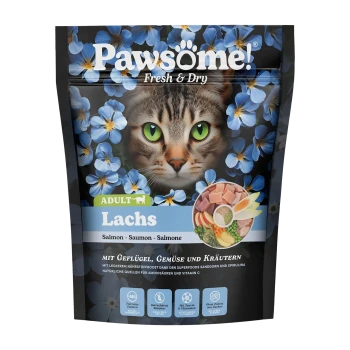 Pawsöme! Frische & Trockenfutter-Tüte für Katzen mit dem Gesicht einer Katze, umgeben von blauen Blumen, beschriftet mit 'ADULT Lachs' und Zutaten aus Lachs und Gemüse.