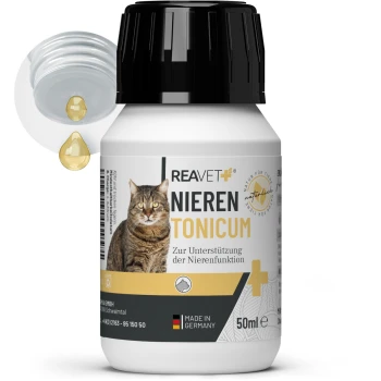 Flasche REAVET Nieren Tonicum für Katzen, 50ml, mit einer getigerten Katze auf dem Etikett und dem Text 'Zur Unterstützung der Nierenfunktion.'