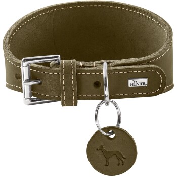 Olivgrünes Lederhalsband für Hunde mit silberner Schnalle, D-Ring, rundem Anhänger mit geprägtem Hundemotiv und metallischem „HUNTER“-Logo.
