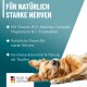 Ein entspannter Golden Retriever schläft, mit Text, der ein Nervenunterstützungsprodukt mit Vitamin B12 und anderen beruhigenden Inhaltsstoffen bewirbt.