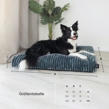 Ein schwarz-weißer Border Collie ruht auf einem plüschigen blauen Hundebett neben einer Pflanze, mit einer Größentabelle "Größentabelle" darunter.