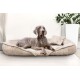 Ein grauer Weimaraner-Hund, der auf einem plüschigen beigen Haustierbett mit einem kleinen passenden Kissen entspannt, vor einer hellen Wand und Grünpflanzen.