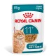 Royal Canin 85g nat kattenvoer zakje voor senior katten ouder dan 11 jaar, stukjes in jus, met afbeelding van een oranje tabby kat.