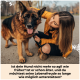 Ein Deutscher Schäferhund posiert mit herausgestreckter Zunge neben einer Person in einer gelben Jacke, die eine Leine hält, mit Text zur Verbesserung der Lebensqualität von Hunden.