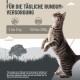 Getigerte Katze, die auf den Hinterbeinen steht, mit deutschem Text über die tägliche Fütterungsmenge für Katzen mit einem Gewicht von 3 bis 5 kg, 180 bis 300 g.