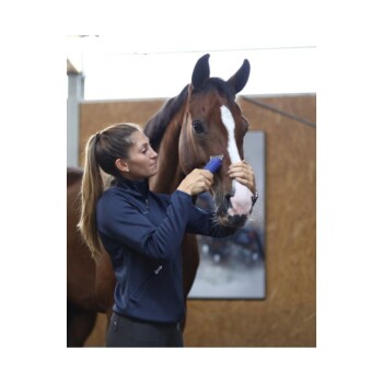 Eine Person in einer marineblauen Jacke pflegt ein braunes Pferd, indem sie ein Pflegewerkzeug an seinem Gesicht in einem Stall verwendet.