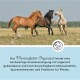Drei Pferde, ein Fuchs, ein schwarzes und ein weißes, laufen auf einer grasbewachsenen Fläche. Der Text bewirbt organisches Mineralfutter für Pferde.