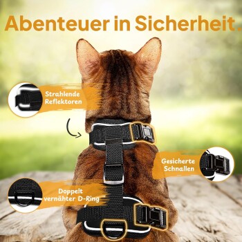 Eine braune Katze in einem schwarzen Geschirr mit reflektierenden Riemen und sicheren Schnallen, mit dem Text "Abenteuer in Sicherheit."