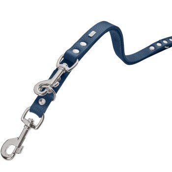 Blaue Lederleine für Hunde mit silbernen Beschlägen und dekorativen Nieten.