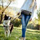 Eine Frau in einer weißen Bluse und Jeans führt einen schwarz-weißen Hund an der Leine in einem sonnigen Park, während sie einen Tennisball und eine Tüte hält.