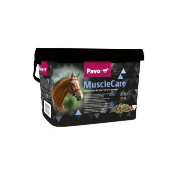 Eimer mit Pavo MuscleCare-Pferdeergänzung, der ein braunes Pferd auf dem Etikett zeigt, mit Text, der die optimalen Vorteile der Muskelpflege hervorhebt.