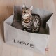 Katzenbett Winnipeg